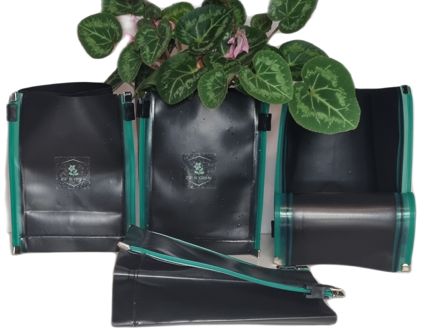 ZIP N Grow folding eco plant pots. Sold in packs of 4, with 4 sizes, 8cmx8cmx 10cm high- 10x10x14cm high-12x12x16cm high-16x16x20cm high