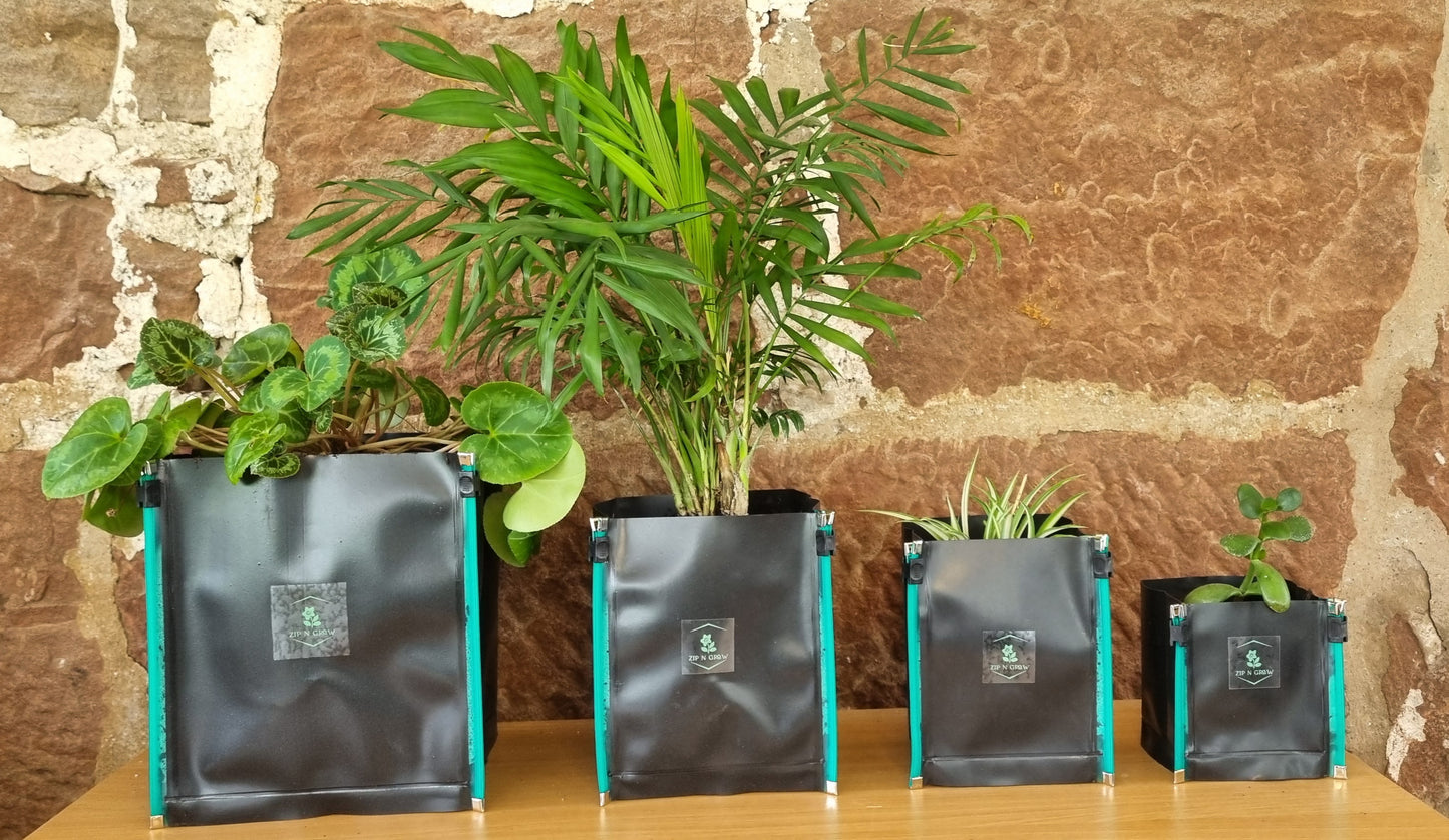 ZIP N Grow folding eco plant pots. Sold in packs of 4, with 4 sizes, 8cmx8cmx 10cm high- 10x10x14cm high-12x12x16cm high-16x16x20cm high
