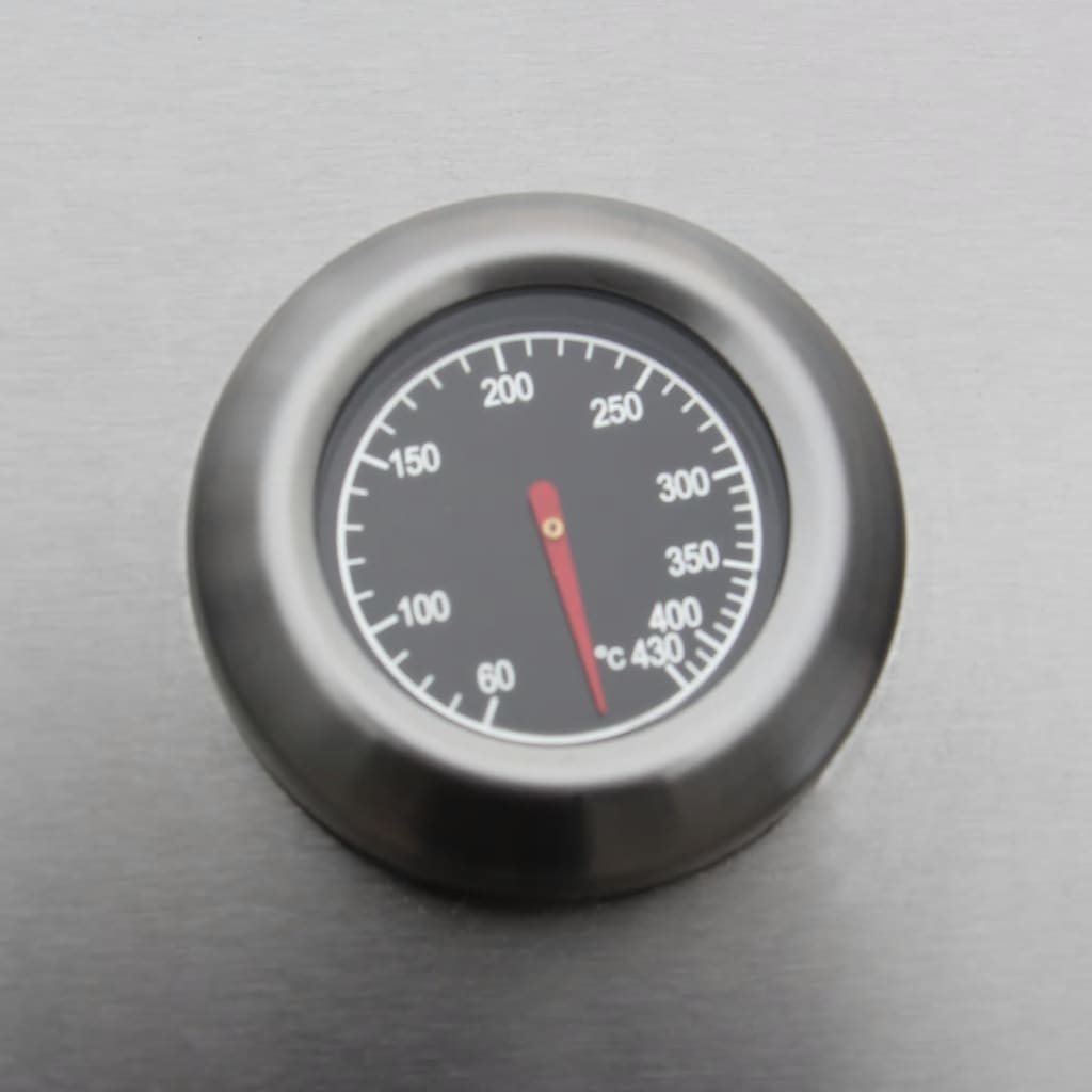 Gas Barbecue Grill 6+1 Cooking Zone Black and Silver